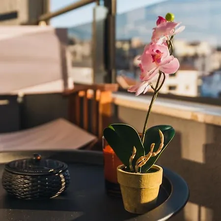 Apartment Rest And Fun - Darts, Playstation 4, Board Games *